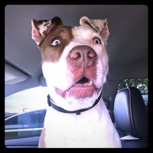 Did u say good deals? See my page for more!